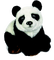 Kaz_Creations Panda Pandas - ilmainen png animoitu GIF