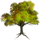 Summer/Fall Tree-RM - PNG gratuit GIF animé