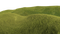 GRASS - zdarma png animovaný GIF