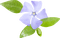 dolceluna blue flower - besplatni png animirani GIF