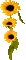 Animated.Sunflowers.Yellow - By KittyKatLuv65