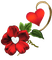 Kaz_Creations Deco Flowers Flower Colours - zadarmo png animovaný GIF
