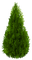 bush - gratis png geanimeerde GIF