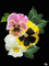 Flores - 無料のアニメーション GIF アニメーションGIF