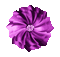 Flower, Flowers, Deco, Decoration, Pink, Purple, GIf - Jitter.Bug.Girl - GIF animé gratuit GIF animé