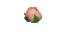Animated.Blooming.Rose.Pink - GIF animado grátis Gif Animado