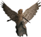 angel - ilmainen png animoitu GIF