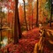 Kaz_Creations Backgrounds Background Autumn - png gratis GIF animasi