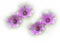 blommor-blomma-lila-flowers - PNG gratuit GIF animé