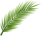 palmowy liść - ingyenes png animált GIF