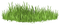 bush grass green deco - zdarma png animovaný GIF