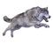 wolf - безплатен png анимиран GIF