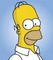 Homer - PNG gratuit GIF animé