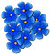 blue flowe fleur bleu forget-me-not flower