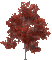 arbre/tree - Darmowy animowany GIF animowany gif