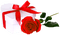 Heart.Box.Rose.Red.White - PNG gratuit GIF animé
