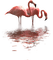 loly33 flamant rose - png grátis Gif Animado