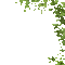 Leaves Border - Darmowy animowany GIF animowany gif