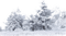 Winter - бесплатно png анимированный гифка