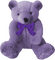 Purple teddy