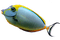 poisson - 免费PNG 动画 GIF