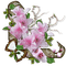 fleurs decoration - PNG gratuit GIF animé