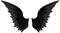 wings bp - Free PNG Animated GIF