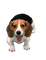 dog - kostenlos png Animiertes GIF
