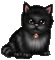 CAT - Nemokamas animacinis gif animuotas GIF
