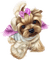 perro - png gratuito GIF animata