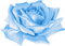 Róża niebieska - nemokama png animuotas GIF