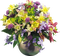 Bloemen en planten - nemokama png animuotas GIF