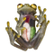 cool frog - Darmowy animowany GIF