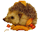 Hedgehog Gif Autumn - Bogusia
