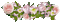 Pflanze - Nemokamas animacinis gif animuotas GIF