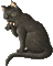cat chat katze animal gif anime animated animation tube animaux black noir mignon