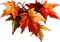 листья; декор - zadarmo png animovaný GIF