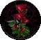 rosemab - Darmowy animowany GIF animowany gif
