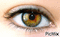 Oeil brille - Darmowy animowany GIF animowany gif
