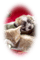 Noel - ilmainen png animoitu GIF