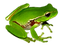 frog by nataliplus - gratis png animeret GIF