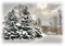 patymirabelle paysage hiver - bezmaksas png animēts GIF