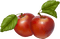 Apple.Pommes.Manzanas.Victoriabea - PNG gratuit GIF animé