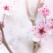 Background Spring - gratis png geanimeerde GIF