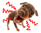 the dog line sticker - besplatni png animirani GIF
