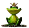 sammakko, frog - PNG gratuit GIF animé