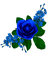 fleur - фрее пнг анимирани ГИФ