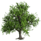tree puu sisustus decor - ücretsiz png animasyonlu GIF