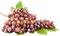виноград - gratis png geanimeerde GIF