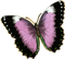 papillon - zadarmo png animovaný GIF